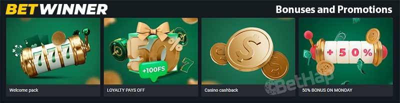 Comprehensive Guide to the BetWinner Login Process -944297526