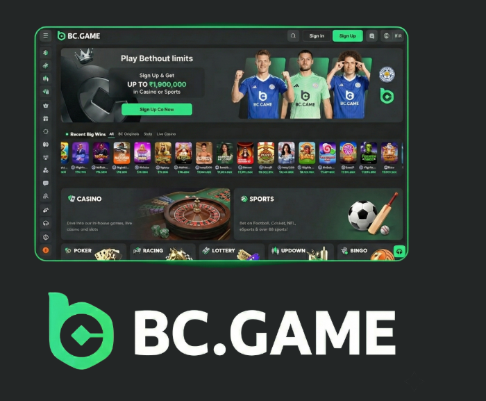 BC.Game App Download and Installation Your Complete Guide